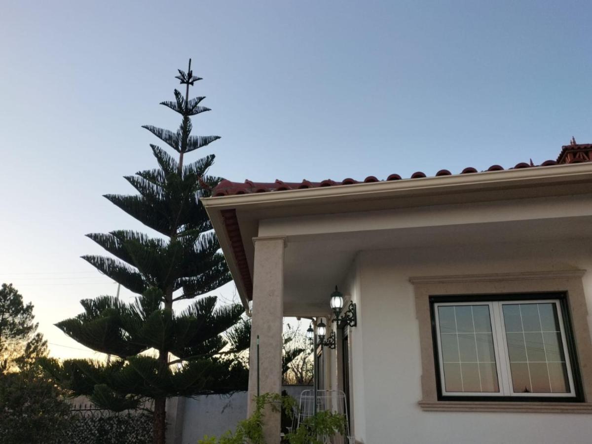 Casa Dos Gnomos Hotel Alvorninha Bagian luar foto